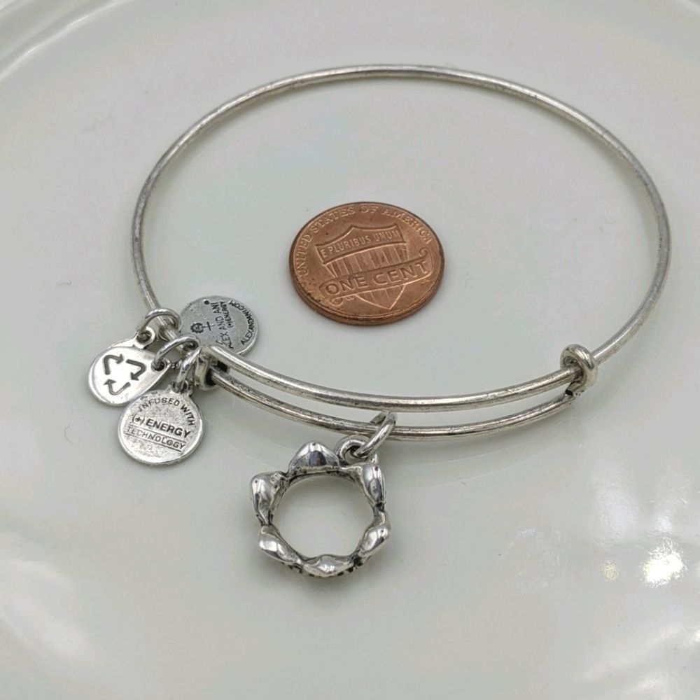 Alex and Ani Rafaleian Silver Crown Jewel Bracelet